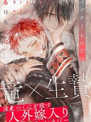 《海贼王》封面